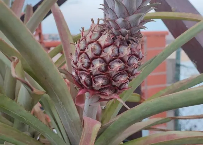 Διαμέρισμα Casina - Relax View & Pool