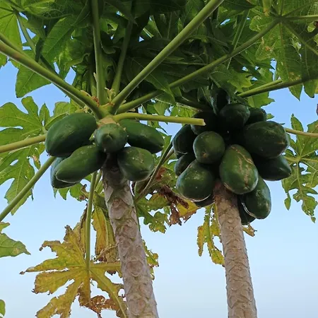 Casina - Relax View & Pool *