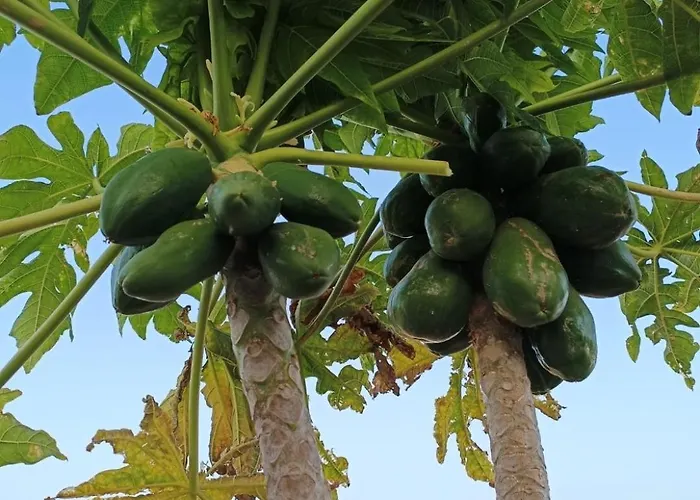 Casina - Relax View & Pool *